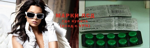 гашик Арсеньев