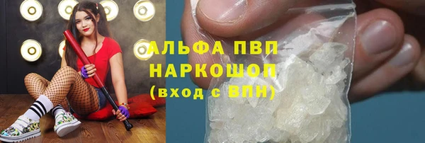 стафф Аркадак
