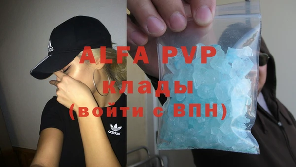 гашик Арсеньев