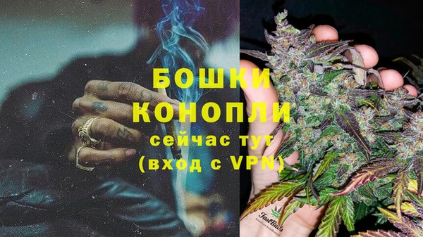 гашик Арсеньев