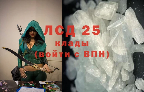 стафф Аркадак