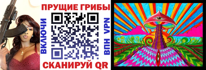 Купить  Барыш  Псилоцибиновые грибы мухоморы 